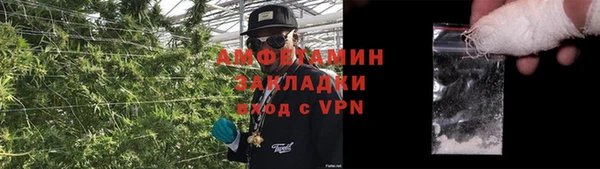 прущие грибы Белая Холуница