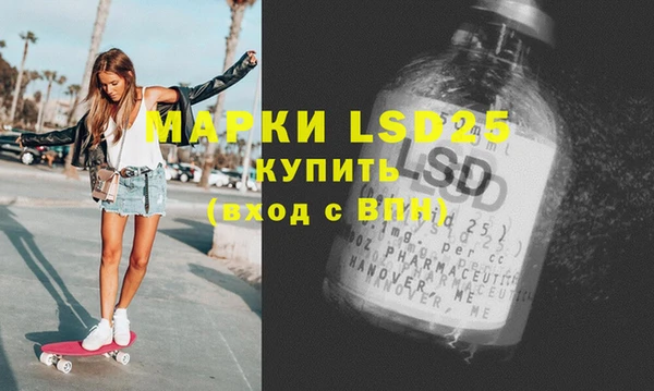 прущие грибы Белая Холуница