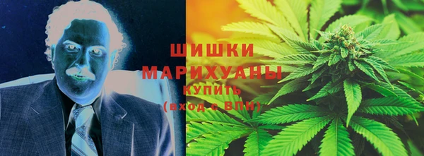 винт Лабытнанги