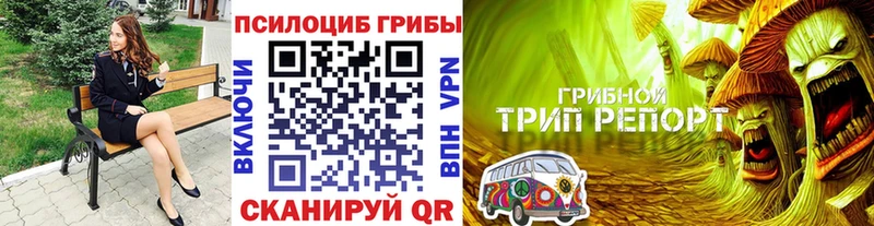 Псилоцибиновые грибы мицелий Невьянск